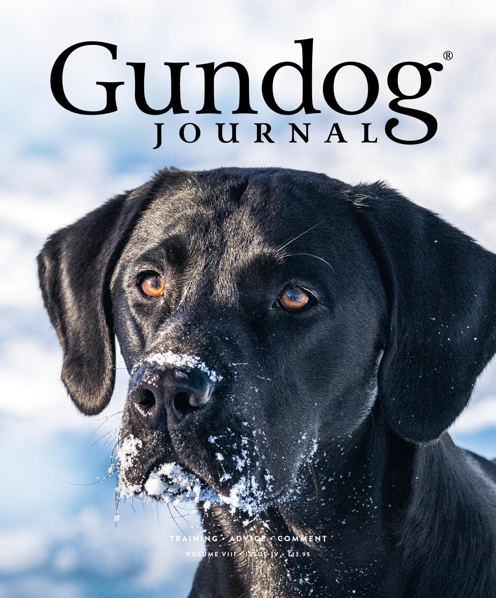 Gundog Journal Volume VIII, Issue IV cover