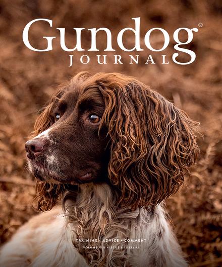 Gundog Journal Volume VIII, Issue III cover