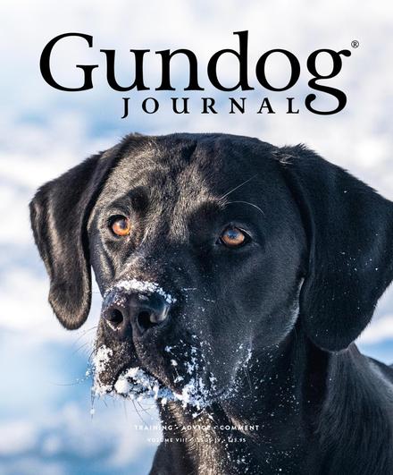 Gundog Journal Volume VIII, Issue IV cover